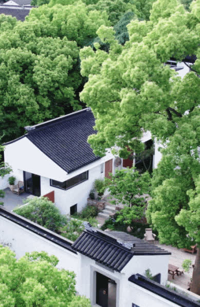Cặp vợ chồng 9X cải tạo nhà 1000 m² để sống chậm lại bên thiên nhiên - Ảnh 2. Cặp vợ chồng 9X cải tạo nhà 1000 m² để sống chậm lại bên thiên nhiên - Ảnh 2.
