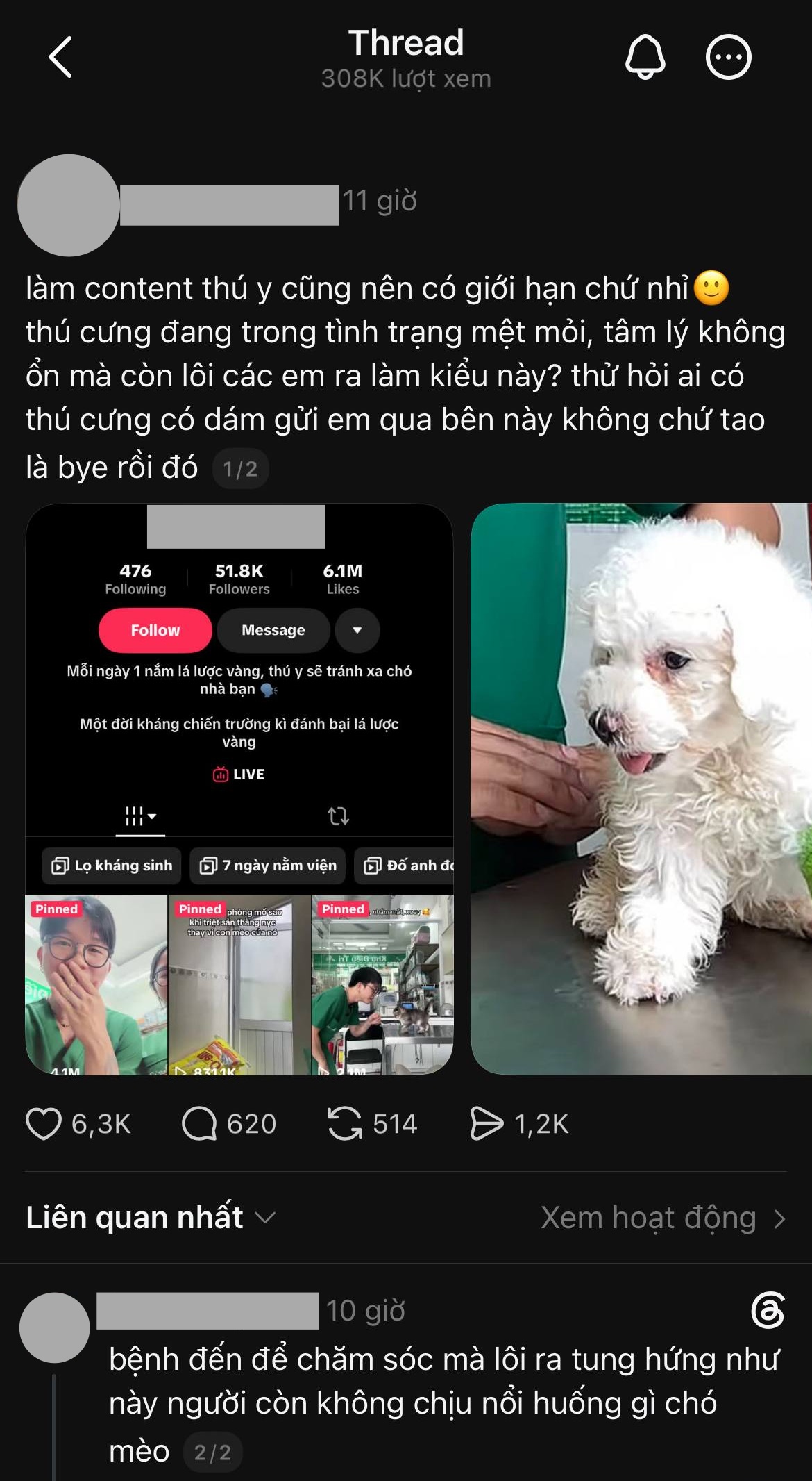 B&aacute;c sĩ th&uacute; y TP . HCM bị chỉ tr&iacute;ch v&igrave; h&agrave;nh động g&acirc;y phẫn nộ với ch&oacute; m&egrave;o - Ảnh 1.