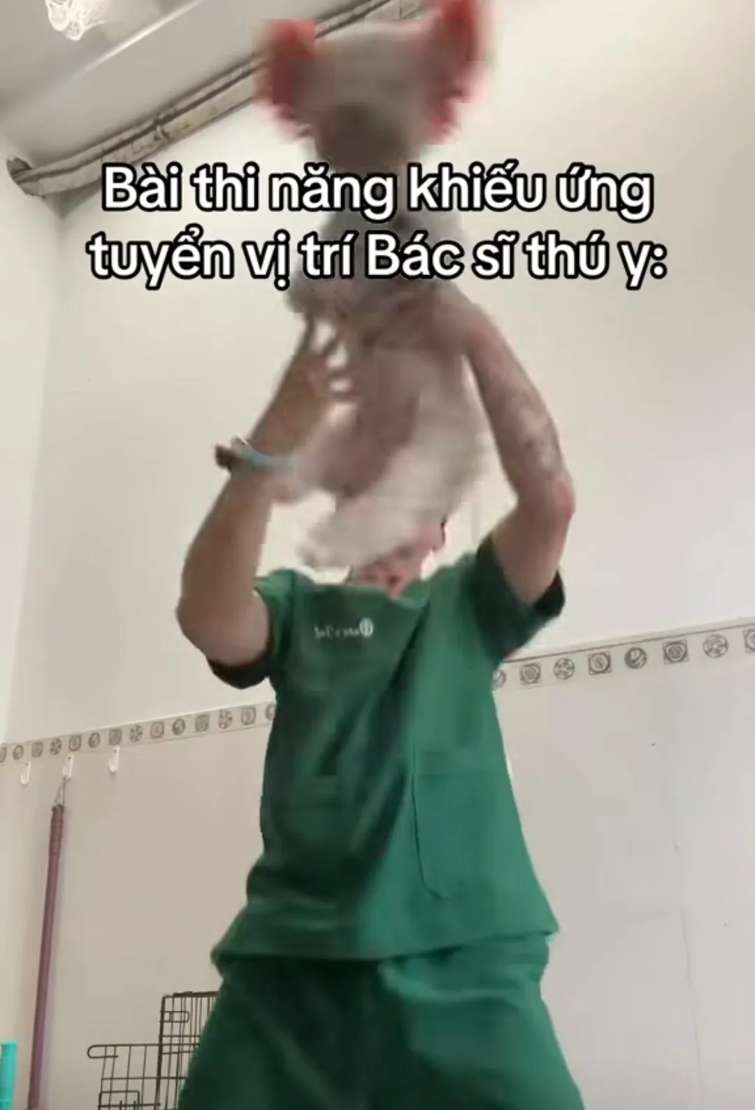 B&aacute;c sĩ th&uacute; y TP . HCM bị chỉ tr&iacute;ch v&igrave; h&agrave;nh động g&acirc;y phẫn nộ với ch&oacute; m&egrave;o - Ảnh 2.