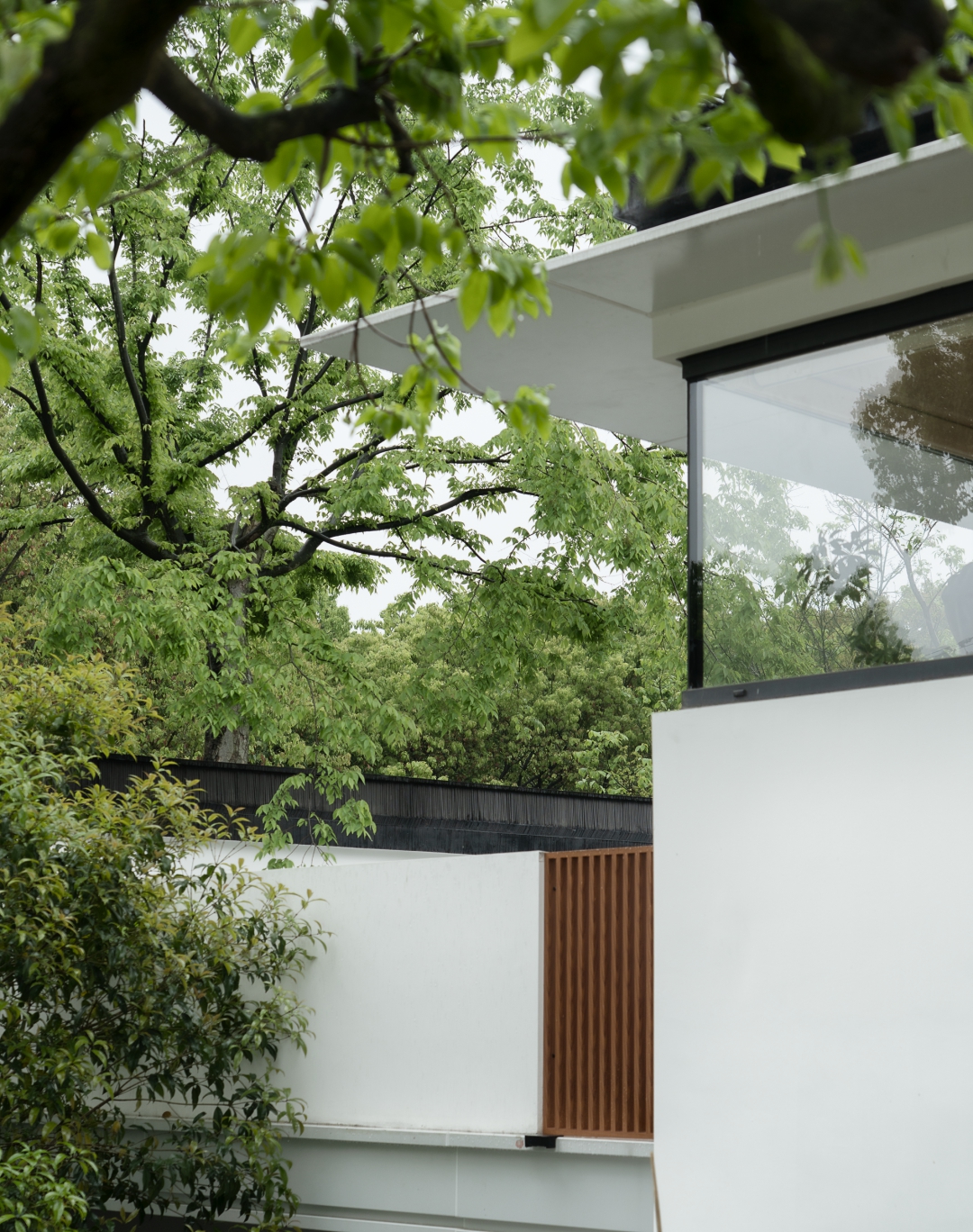 Cặp vợ chồng 9X cải tạo nhà 1000 m² để sống chậm lại bên thiên nhiên - Ảnh 10. Cặp vợ chồng 9X cải tạo nhà 1000 m² để sống chậm lại bên thiên nhiên - Ảnh 10.
