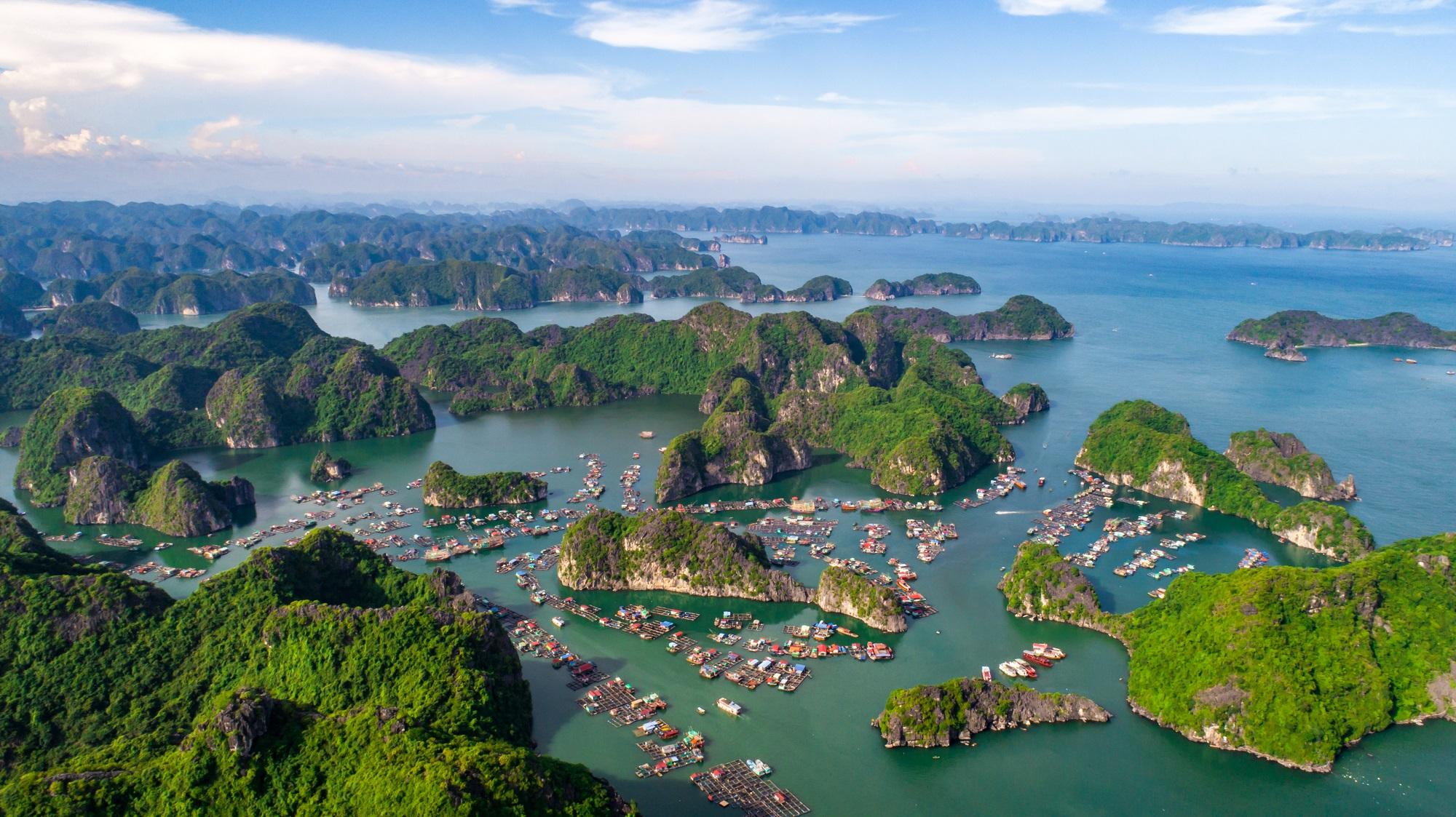Cảnh tượng ở vịnh Lan Hạ, C&aacute;t B&agrave; khiến nhiều người bất ngờ, thốt l&ecirc;n: Kh&ocirc;ng tin v&agrave;o mắt m&igrave;nh - Ảnh 2.