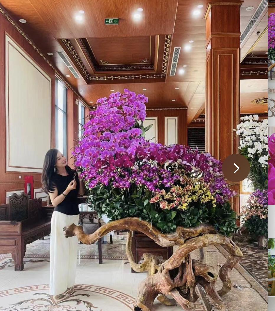 Người phụ nữ g&acirc;y sốt với &ldquo;ph&ograve;ng kh&aacute;ch hoa lan&rdquo; hơn 1.000 chậu: Kh&ocirc;ng gian ngập sắc hoa khiến ai nh&igrave;n cũng muốn ngắm m&atilde;i - Ảnh 2.