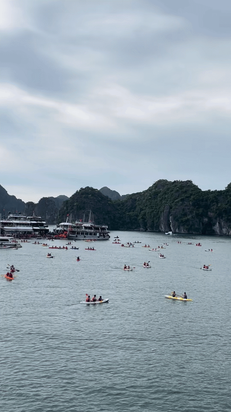Cảnh tượng ở vịnh Lan Hạ, C&aacute;t B&agrave; khiến nhiều người bất ngờ, thốt l&ecirc;n: Kh&ocirc;ng tin v&agrave;o mắt m&igrave;nh - Ảnh 1.