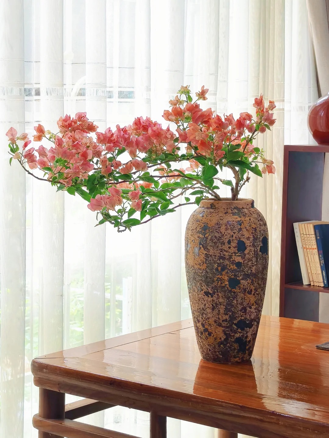 Lời khuy&ecirc;n chi tiết để trồng hoa giấy bonsai đẹp trong nh&agrave; năm 2026 - Ảnh 2.