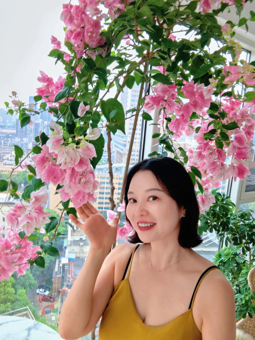 Lời khuy&ecirc;n chi tiết để trồng hoa giấy bonsai đẹp trong nh&agrave; năm 2026 - Ảnh 1.