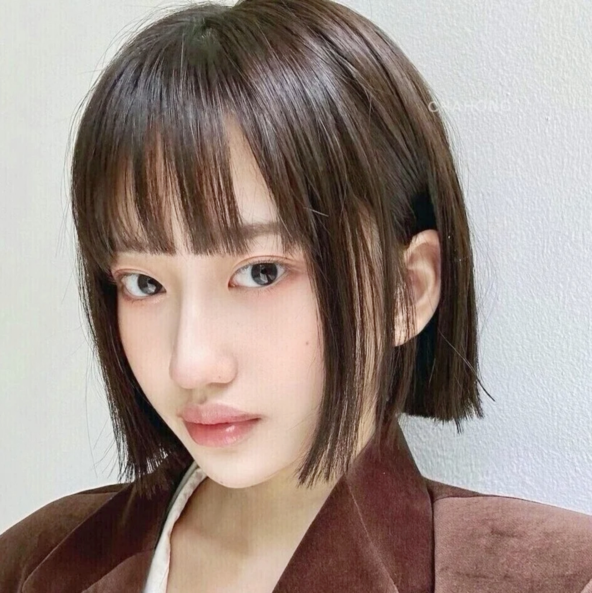 Muốn cắt tóc ngắn mà vẫn gọn mặt? Đây là 8 kiểu mái đang được các salon Hàn - Nhật lăng xê nhiều nhất năm 2026 - Ảnh 8.