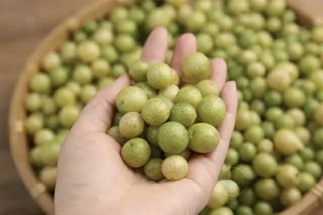 Loại quả này đang vào mùa, thấy hãy mua ngay về làm nước sốt cho món ăn có vị chua ngọt cực ngon - Ảnh 2. Loại quả này đang vào mùa, thấy hãy mua ngay về làm nước sốt cho món ăn có vị chua ngọt cực ngon - Ảnh 2.