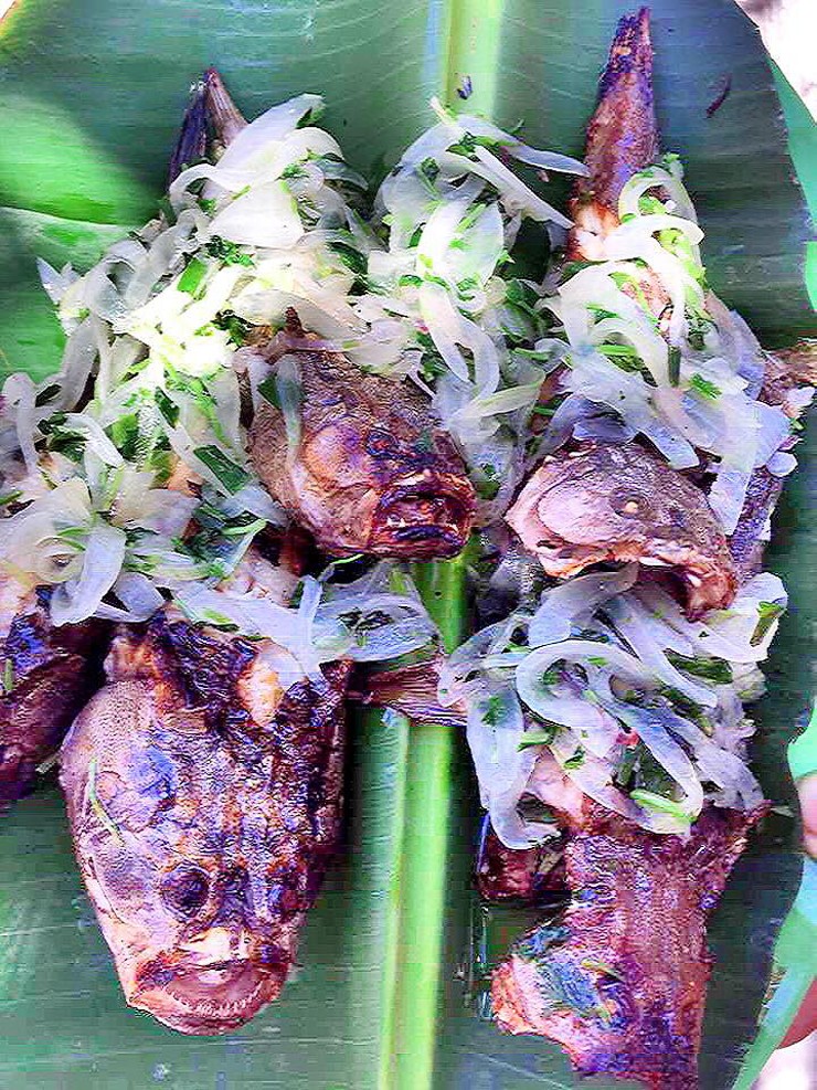 Lo&agrave;i c&aacute; c&oacute; vẻ ngo&agrave;i 