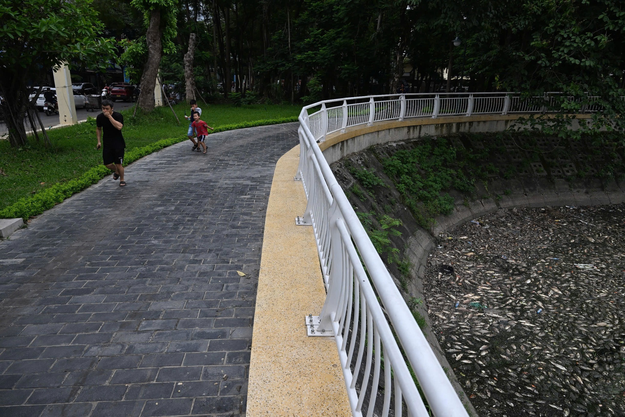 C&aacute; chết bất thường tại hồ Nghĩa Đ&ocirc; H&agrave; Nội năm 2026: Cảnh tượng g&acirc;y sốc - Ảnh 7.