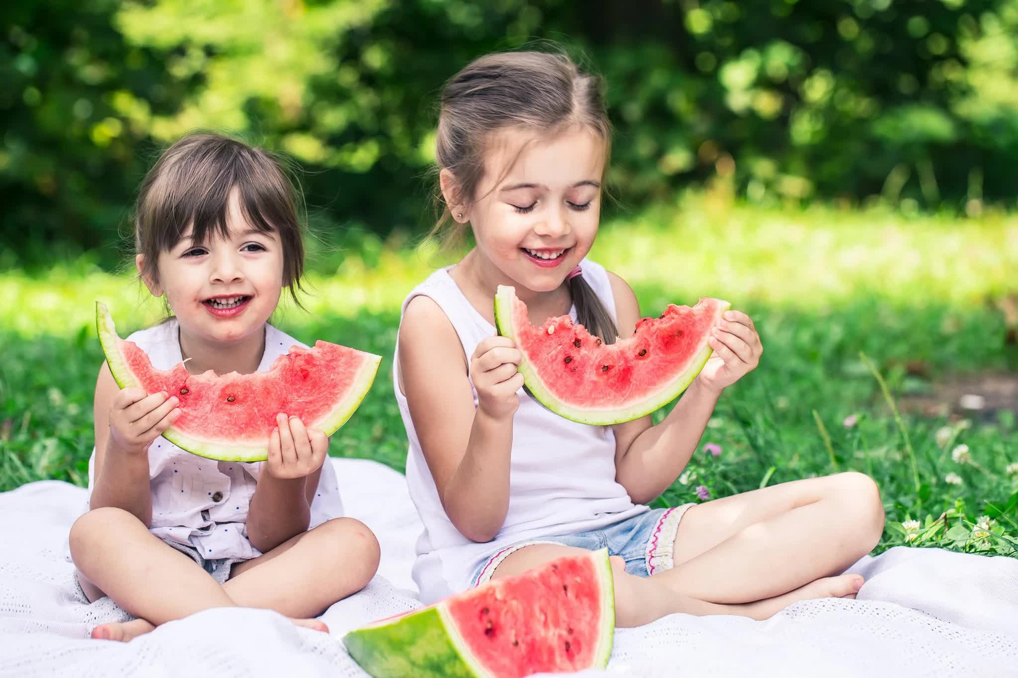 M&ugrave;a picnic đến rồi: Tr&aacute;nh ngay 6 sai lầm khiến thực phẩm nhanh biến th&agrave;nh 