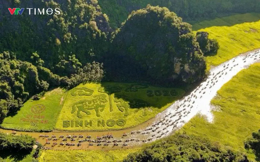 Ninh B&igrave;nh x&aacute;c minh th&ocirc;ng tin nữ du kh&aacute;ch chia sẻ chuyện 