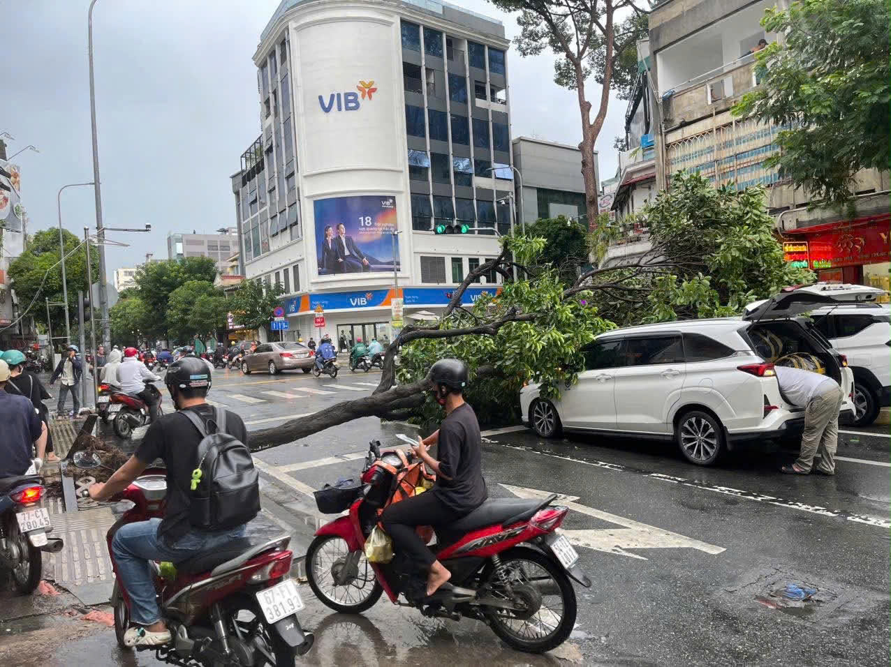 TPHCM: Cây xanh bật gốc đè ô tô bị cây đè giữa cơn mưa lớn chiều nay - Ảnh 4. TPHCM: Cây xanh bật gốc đè ô tô bị cây đè giữa cơn mưa lớn chiều nay - Ảnh 4.