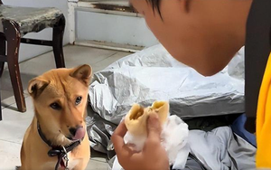Từ bỏ sự nghiệp bao người mơ ước ở Mỹ, Ph&oacute; Gi&aacute;o sư trở về viết tiếp giấc mơ khoa học Việt - Ảnh 4.