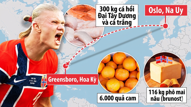 Chế độ ăn kiểu Viking: B&iacute; quyết sức khỏe v&agrave; hiệu suất của cầu thủ Na Uy tại World Cup 2026 - Ảnh 1.