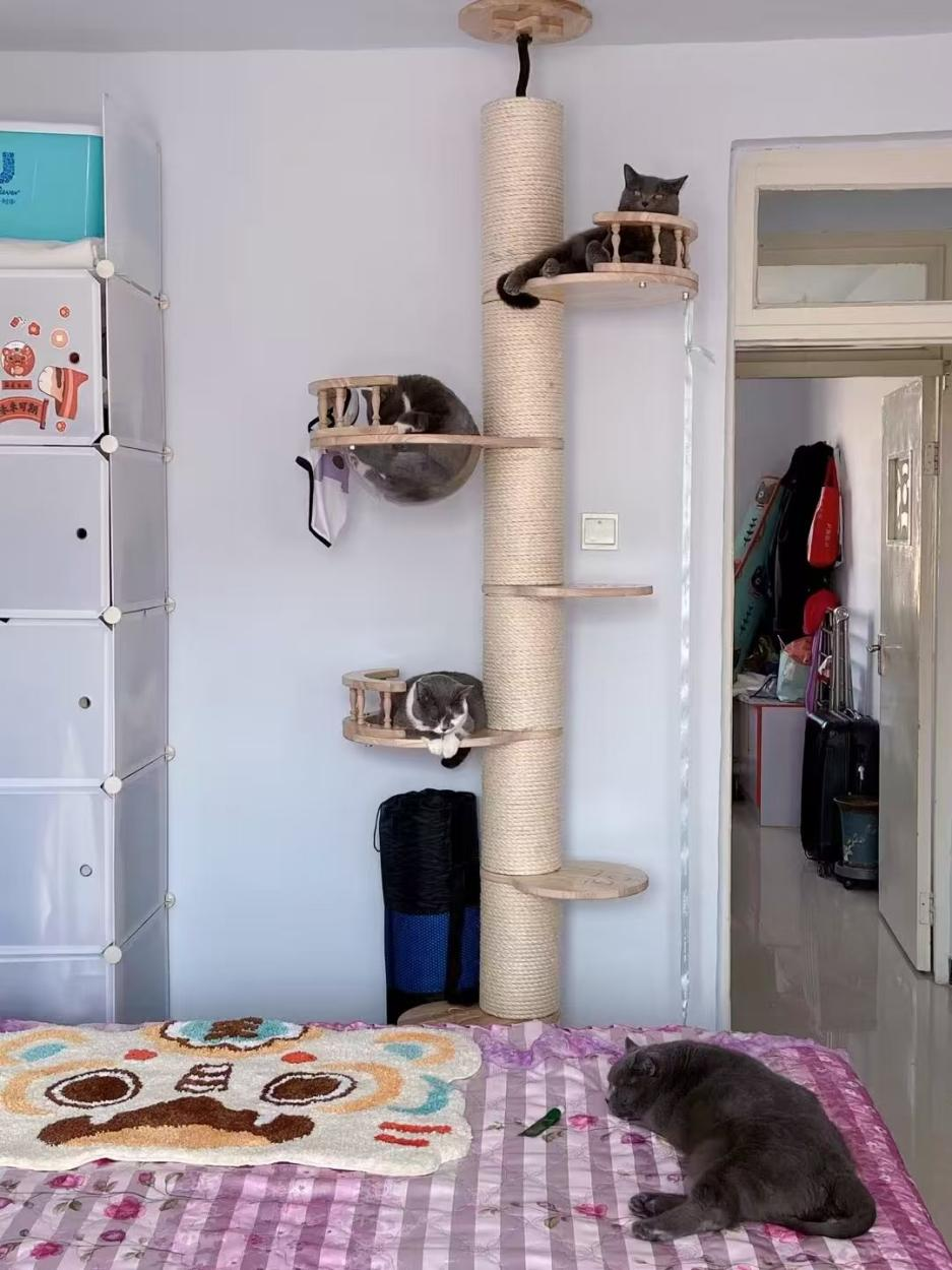 Lương 11 triệu vẫn liều vay mua nh&agrave;, 3 năm trả hết khoản nợ 1,4 tỷ đồng: Mỗi ng&agrave;y ti&ecirc;u kh&ocirc;ng qu&aacute; 108k- Ảnh 2.