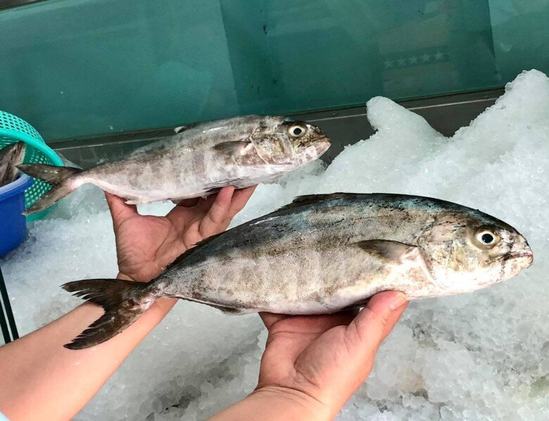 Lo&agrave;i c&aacute; nghe t&ecirc;n 