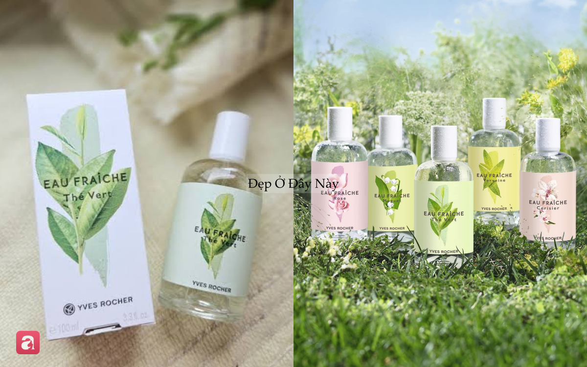 5 chai nước hoa hương hoa cỏ thanh mát,