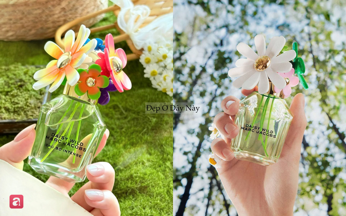 5 chai nước hoa hương hoa cỏ thanh mát,