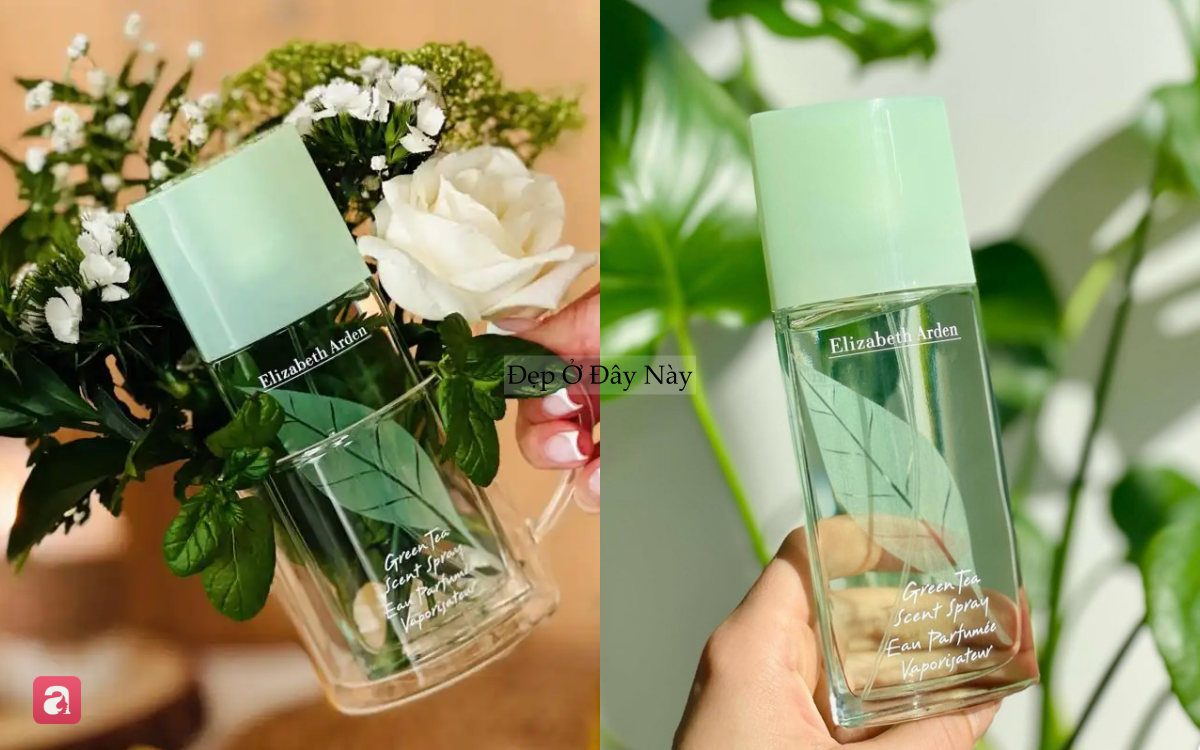 5 chai nước hoa hương hoa cỏ thanh mát,