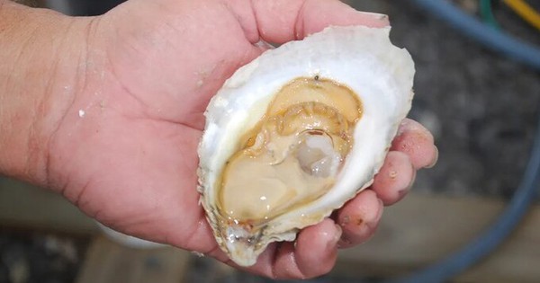 Người đ&agrave;n &ocirc;ng 49 tuổi tử vong v&igrave; suy thận, người vợ kh&oacute;c trong bất lực: T&ocirc;i n&oacute;i nhiều lần nhưng kh&ocirc;ng chịu nghe! - Ảnh 1.