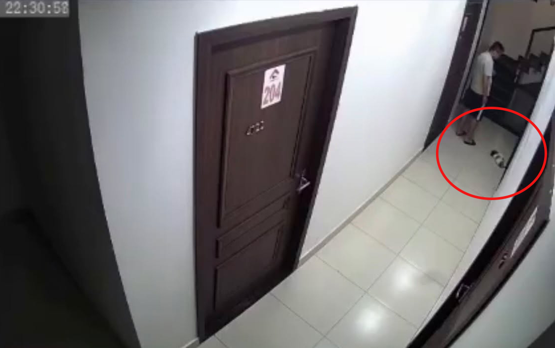 Lời giải th&iacute;ch bất ngờ của nam thanh ni&ecirc;n đ&aacute; chết ch&uacute; ch&oacute; ở Hải Ph&ograve;ng - Ảnh 1.
