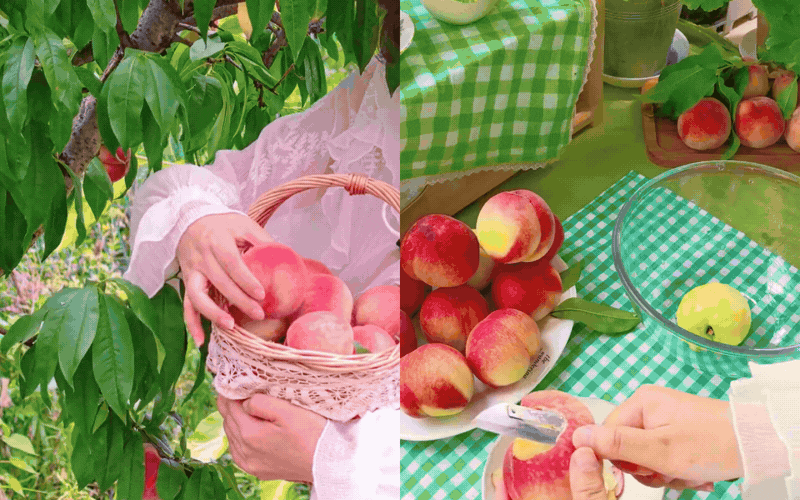 Khu vườn kiểu Ph&aacute;p của người phụ nữ sống độc th&acirc;n c&ugrave;ng cỏ c&acirc;y b&aacute;nh tr&aacute;i: 