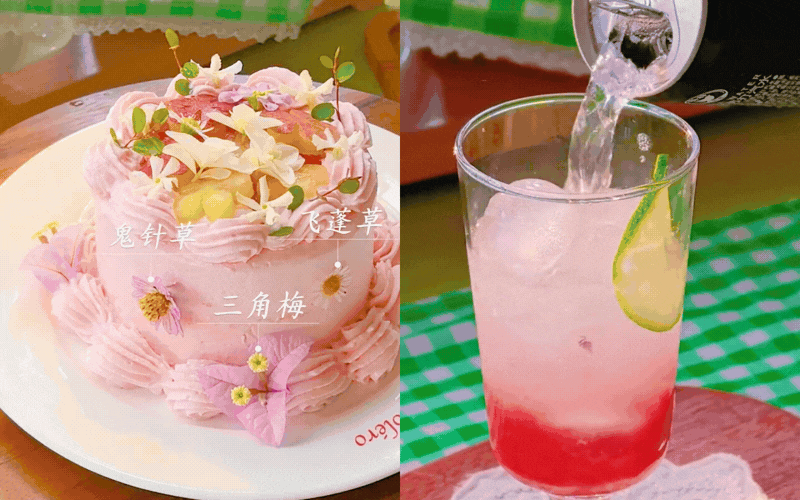 Khu vườn kiểu Ph&aacute;p của người phụ nữ sống độc th&acirc;n c&ugrave;ng cỏ c&acirc;y b&aacute;nh tr&aacute;i: 