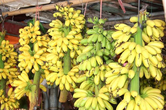 Loại quả ngon nhất thế giới của Việt Nam: Chỉ c&oacute; ở Ninh B&igrave;nh, v&agrave;o m&ugrave;a l&agrave; hết sạch, phải đặt trước mới c&oacute; - Ảnh 1.