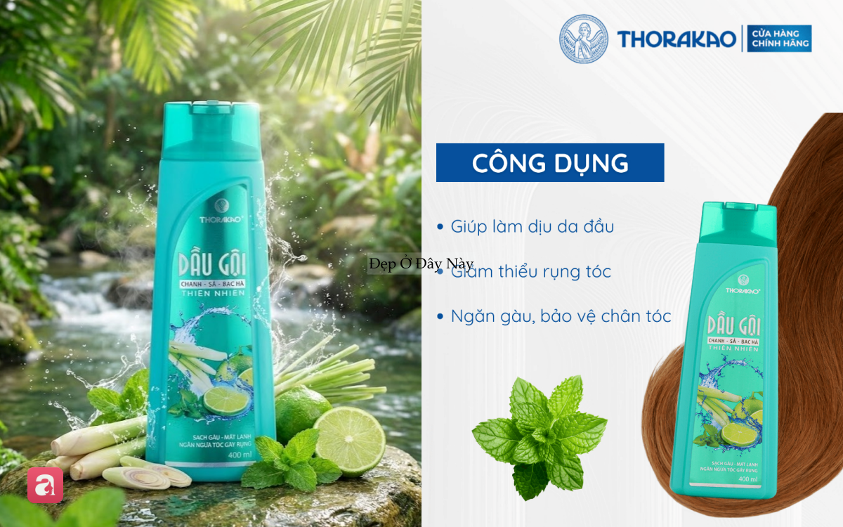 Mùa nóng rất cần: 5 dầu gội bạc hà vừa sạch sâu, hỗ trợ mọc tóc lại mát lạnh tức thì - Ảnh 3.