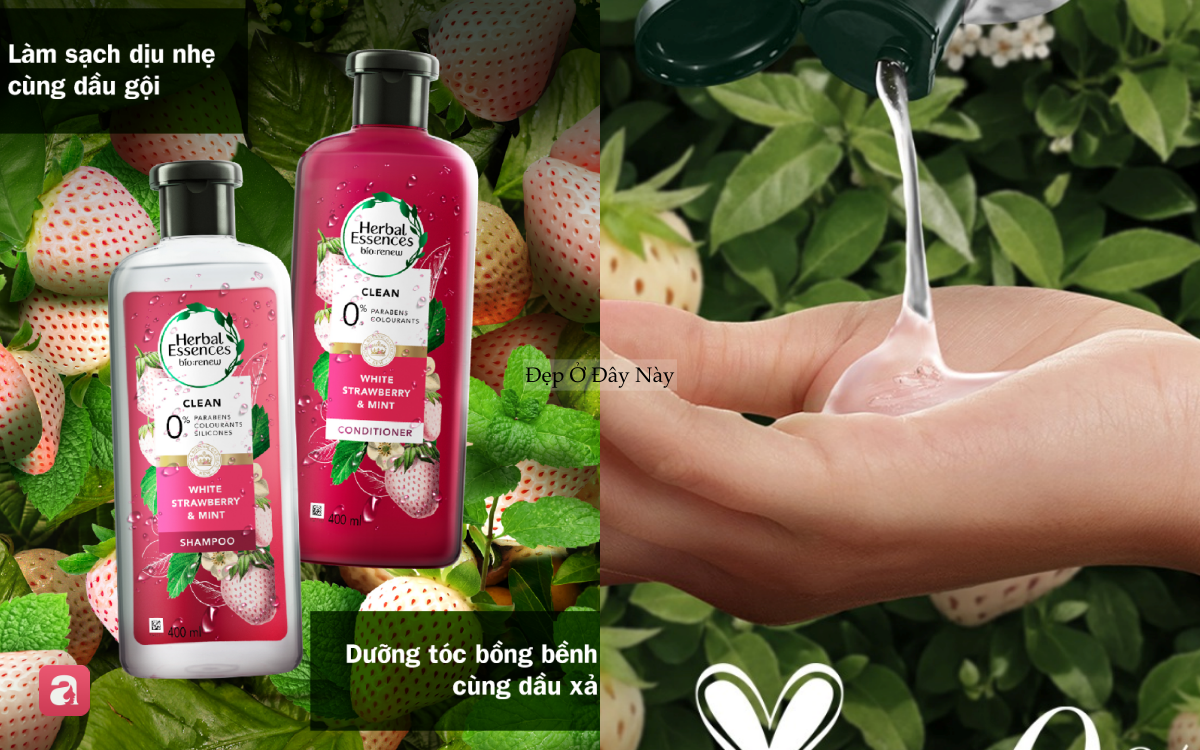 Mùa nóng rất cần: 5 dầu gội bạc hà vừa sạch sâu, hỗ trợ mọc tóc lại mát lạnh tức thì - Ảnh 4.