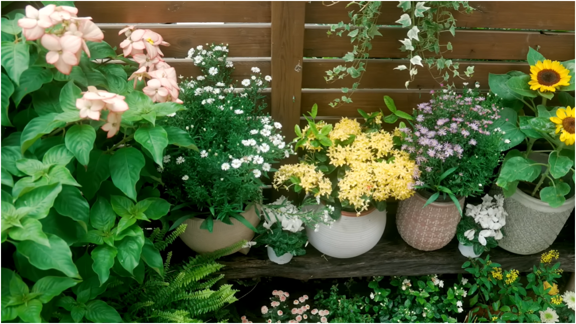 B&ecirc;n trong biệt thự cổ 300m2 giữa rừng của nữ TikToker 3 triệu follower - Ảnh 30.