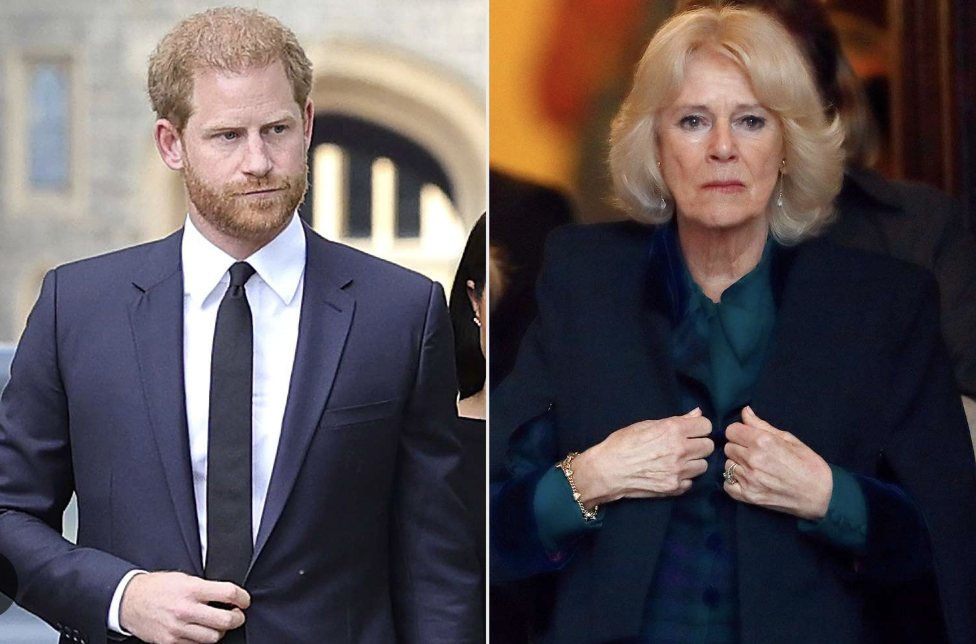 Vương hậu Camilla vắng mặt khi Harry v&agrave; Meghan trở về: Điều g&igrave; đang xảy ra? - Ảnh 1.