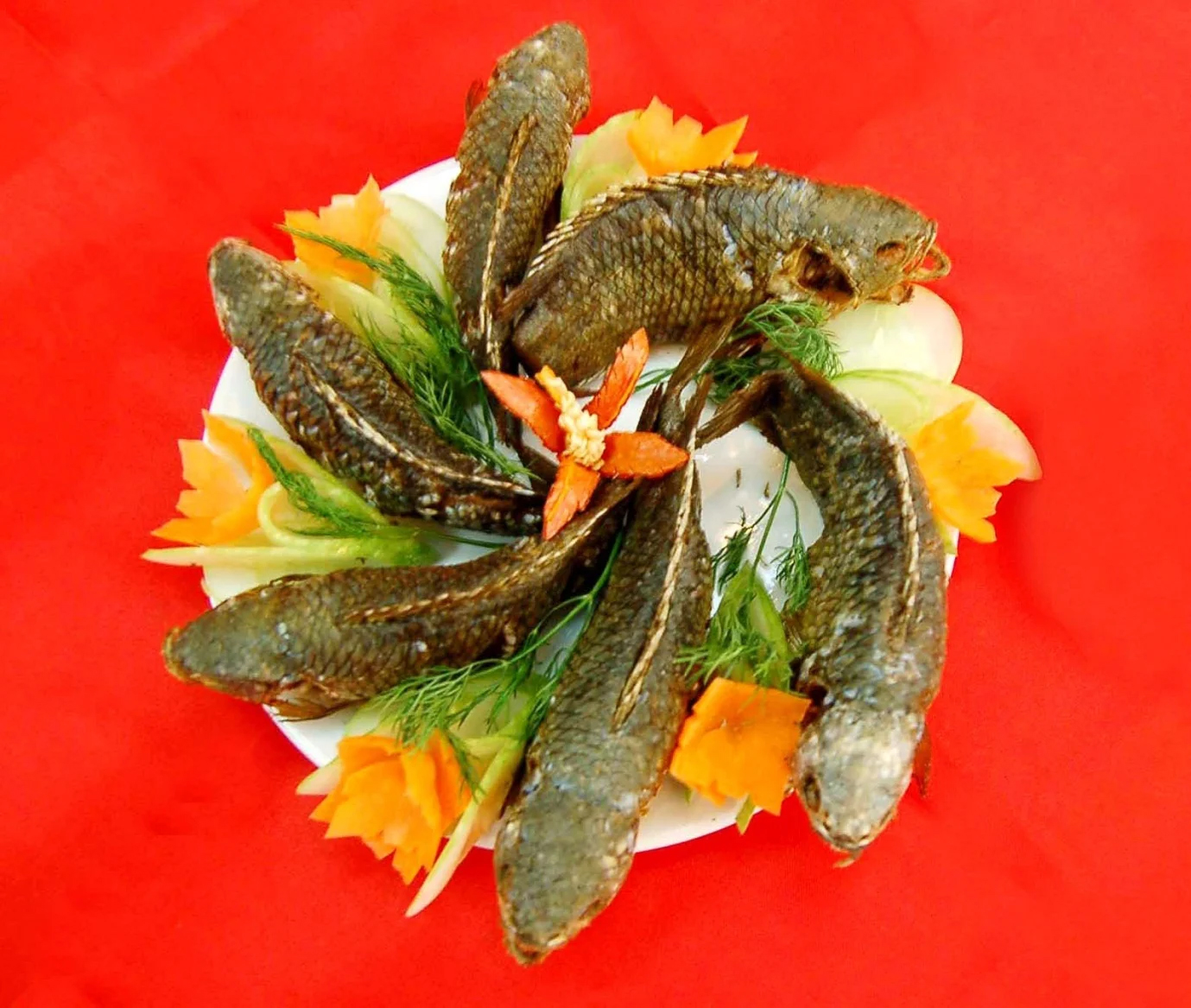 C&aacute; cửng: Lo&agrave;i c&aacute; l&agrave; 