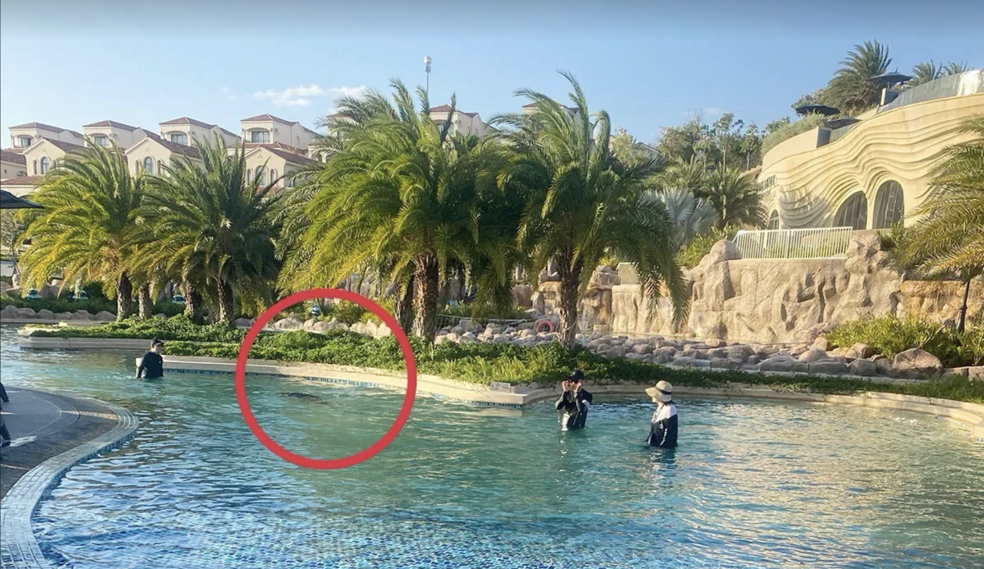 Phục hồi điều tra vụ b&eacute; Nhật tử vong hồ bơi Centara Mirage Resort Mũi N&eacute; - Ảnh 1.