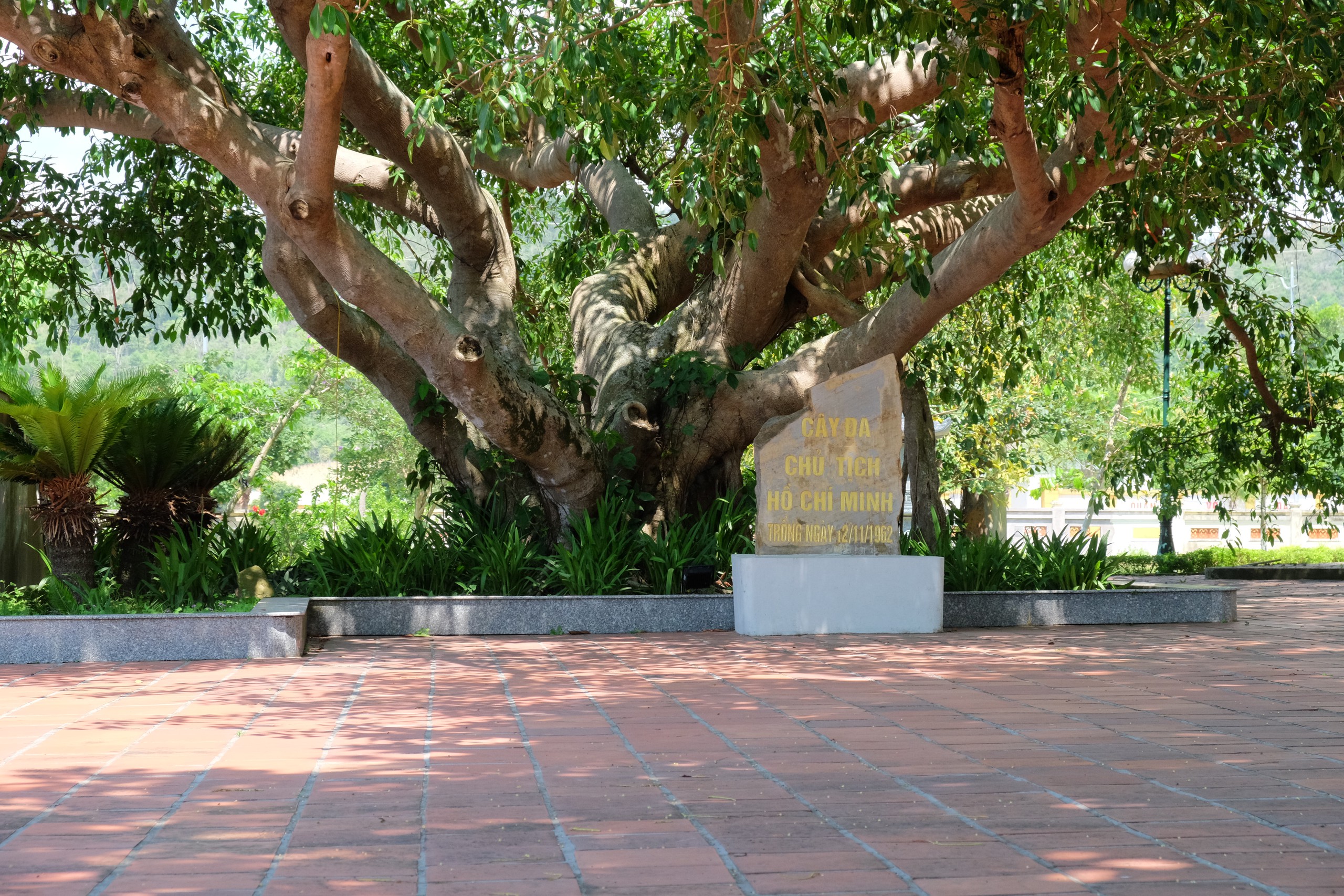Chuyện về hòn đảo