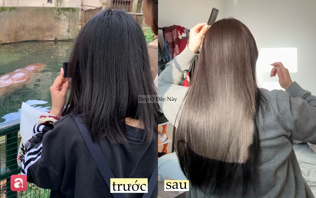 Thử kiểu ủ tóc ngược đang gây sốt, mái tóc của tôi như