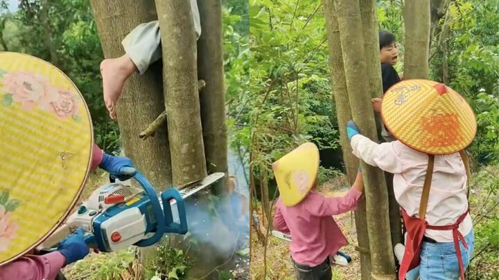 Giải cứu b&eacute; mắc kẹt tr&ecirc;n c&acirc;y: C&acirc;u chuyện h&agrave;i hước m&ugrave;a h&egrave; 2026 - Ảnh 1.