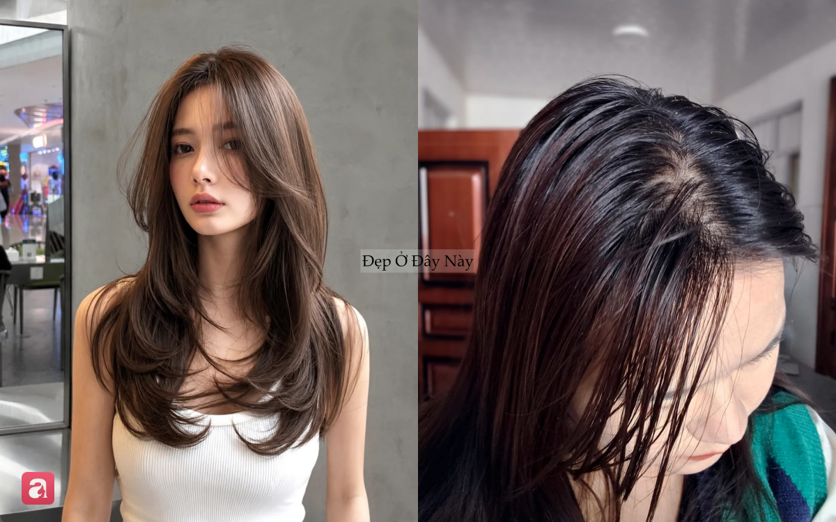 Tóc nhanh bết không phải do cơ địa, mà vì 6 sai lầm ai cũng từng mắc - Ảnh 2.