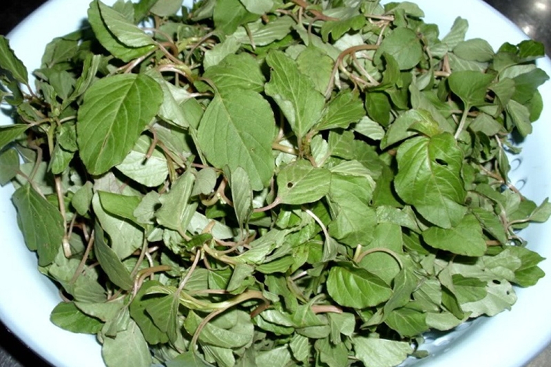 Việt Nam c&oacute; loại 