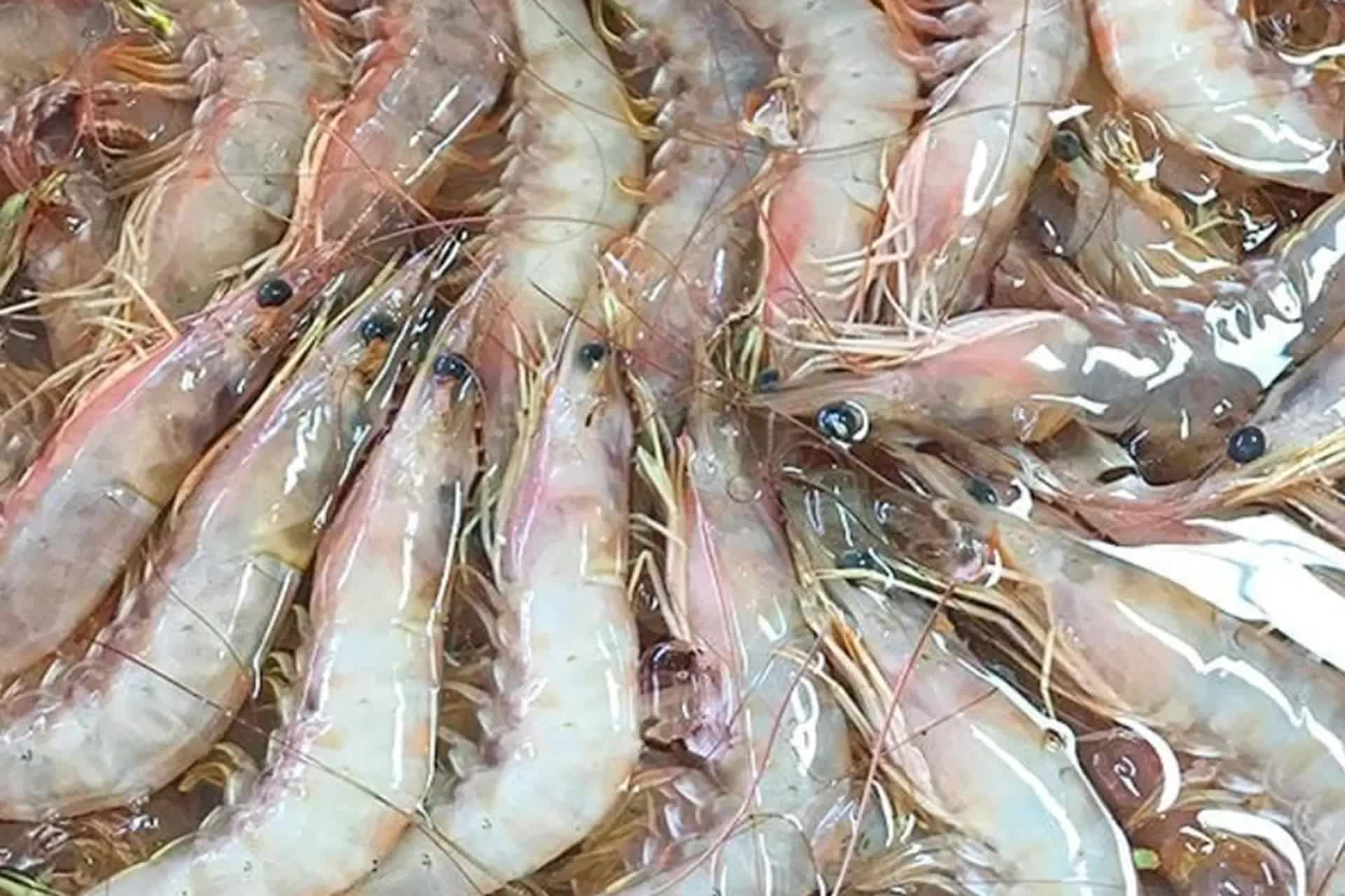 Không phải thịt gà hay thịt bò: 3 Lọai thịt ngon cho mùa hè dễ nấu chỉ trong 10 phút - Ảnh 17. Không phải thịt gà hay thịt bò: 3 Lọai thịt ngon cho mùa hè dễ nấu chỉ trong 10 phút - Ảnh 17.