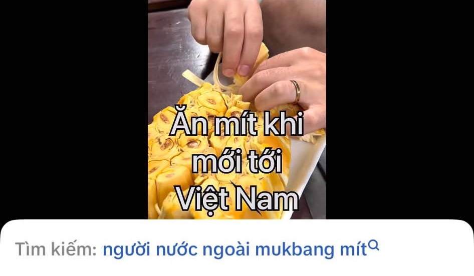 Kh&aacute;ch T&acirc;y v&agrave; chuyện ăn m&iacute;t khi đến Việt Nam: Viết được th&agrave;nh tiểu thuyết 1.000 chương- Ảnh 3.