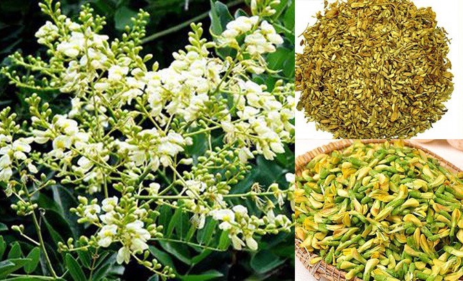 10 loại rau n&agrave;y đem phơi kh&ocirc; c&ograve;n thơm hơn cả thịt: Bạn đ&atilde; biết c&aacute;ch phơi kh&ocirc; bao nhi&ecirc;u loại rồi? - Ảnh 9.