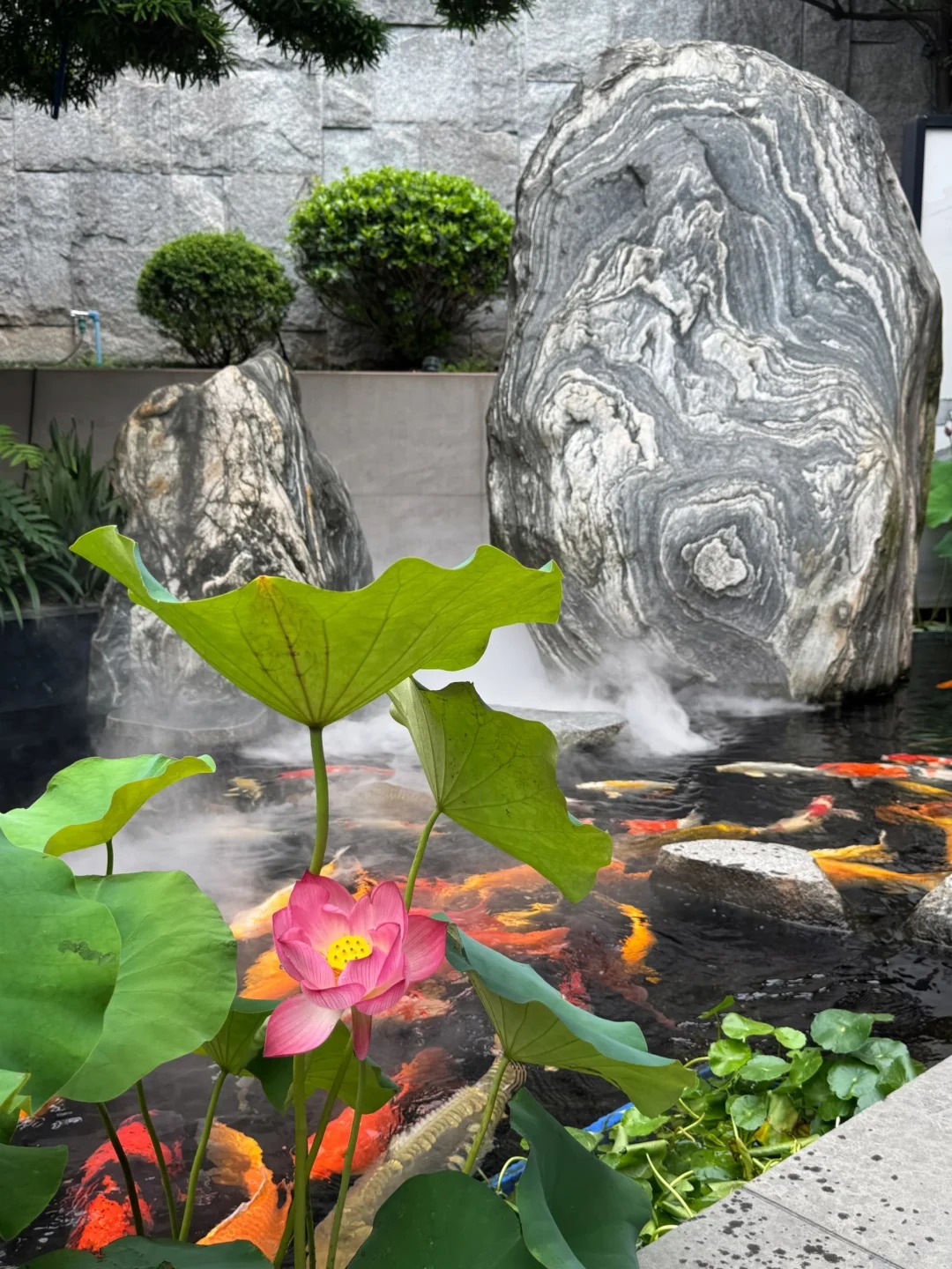Biệt thự độc lập 1000 m2: Cuộc sống như một khu nghỉ dưỡng trong nh&agrave; tuyệt vời - Ảnh 18.