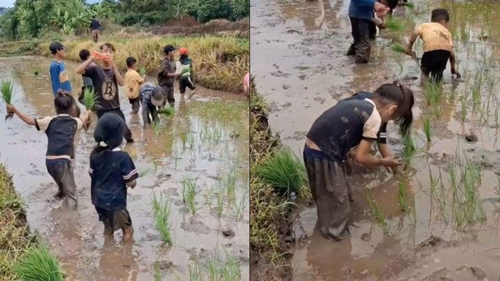 Những trải nghiệm m&ugrave;a h&egrave; th&uacute; vị tại Đắk Lắk - Ảnh 1.