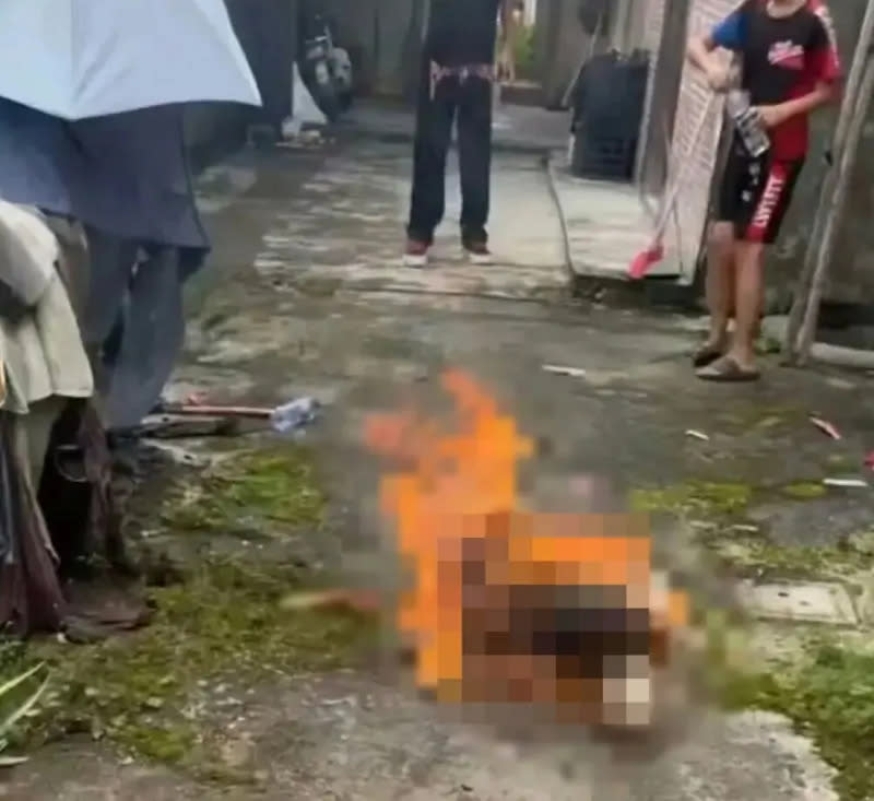 4 Đứa trẻ ở Quảng Đông gây phẫn nộ vì hành vi ngược đãi động vật và cảnh báo giáo dục - Ảnh 1. 4 Đứa trẻ ở Quảng Đông gây phẫn nộ vì hành vi ngược đãi động vật và cảnh báo giáo dục - Ảnh 1.