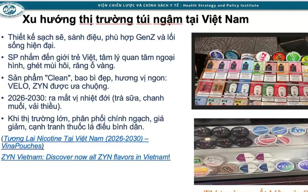 T&uacute;i ngậm nicotine: Th&aacute;ch thức mới đối với ch&iacute;nh s&aacute;ch kiểm so&aacute;t nicotine - Ảnh 2.