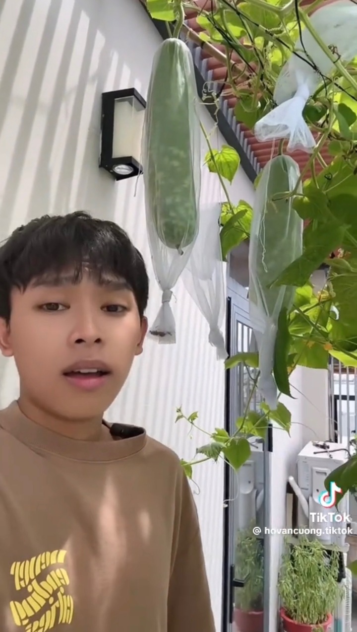 Hồ Văn Cường: H&agrave;nh tr&igrave;nh từ Cậu b&eacute; h&aacute;t đ&aacute;m cưới đến cuộc sống ổn định ở tuổi 23 - Ảnh 4.