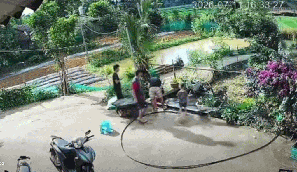 Clip thót tim: Em bé trượt chân ngã xuống bể cá của gia đình, nếu người lớn không có nhà thì không biết điều tồi tệ gì sẽ xảy ra - Ảnh 1.