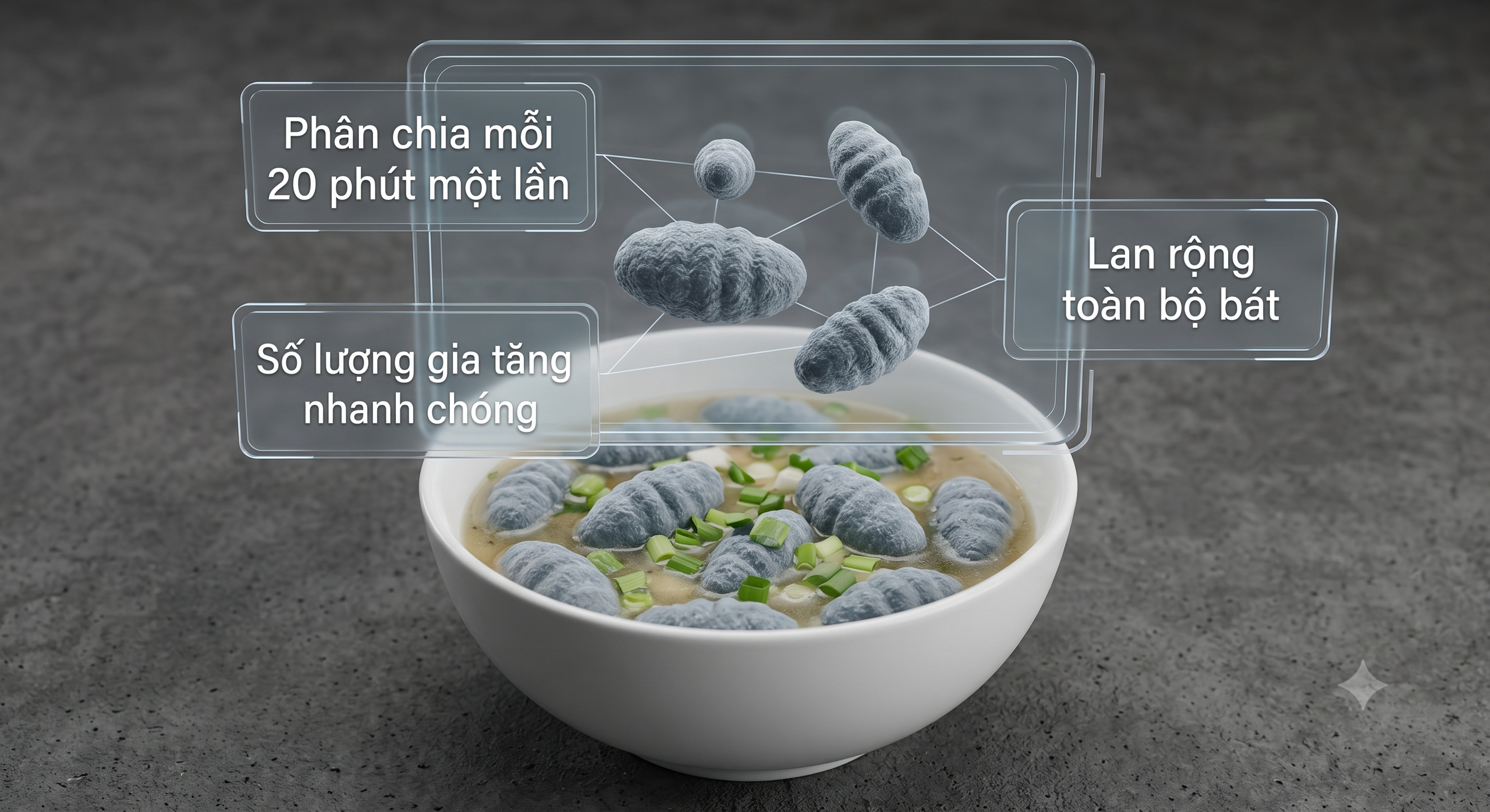 Con ruồi rơi v&agrave;o b&aacute;t canh: Chỉ l&agrave; một con ruồi th&ocirc;i, vớt ra rồi đun s&ocirc;i lại l&agrave; được?  - Ảnh 6.