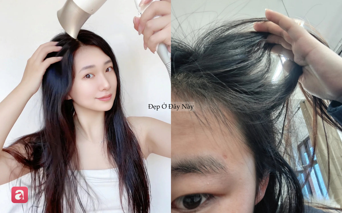 4 loại dầu gội đất s&eacute;t gi&uacute;p 
